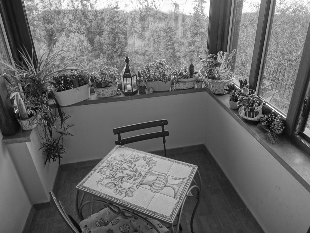 La Casetta Della Nonna Bagnoregio Bilik gambar